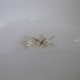 crystal sparkle stud sterling silver earrings